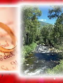 Smoky Mountain Wedding Ceremony, Affordable, Simple, Private